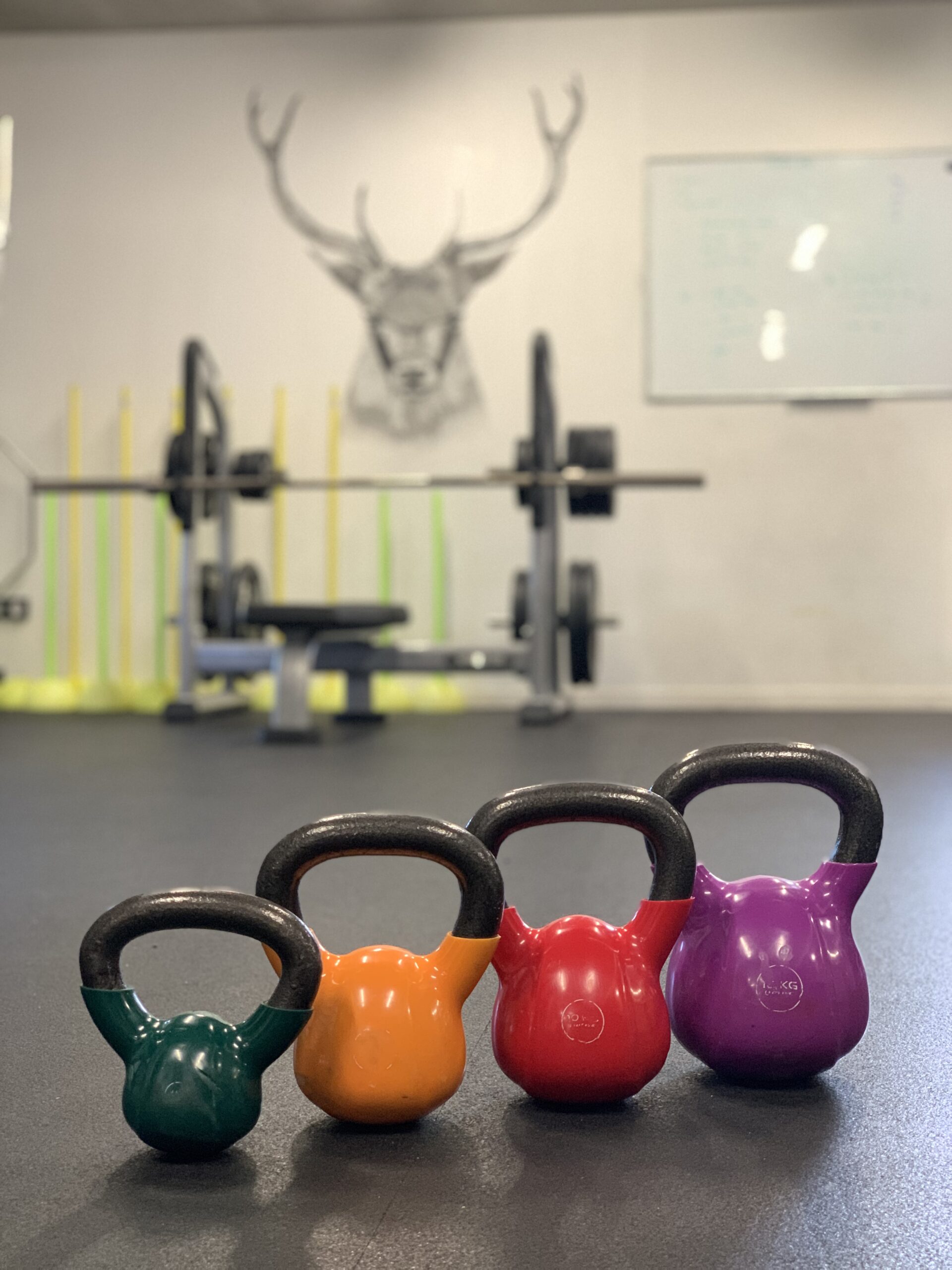 Lire la suite à propos de l’article Equipes Sportives