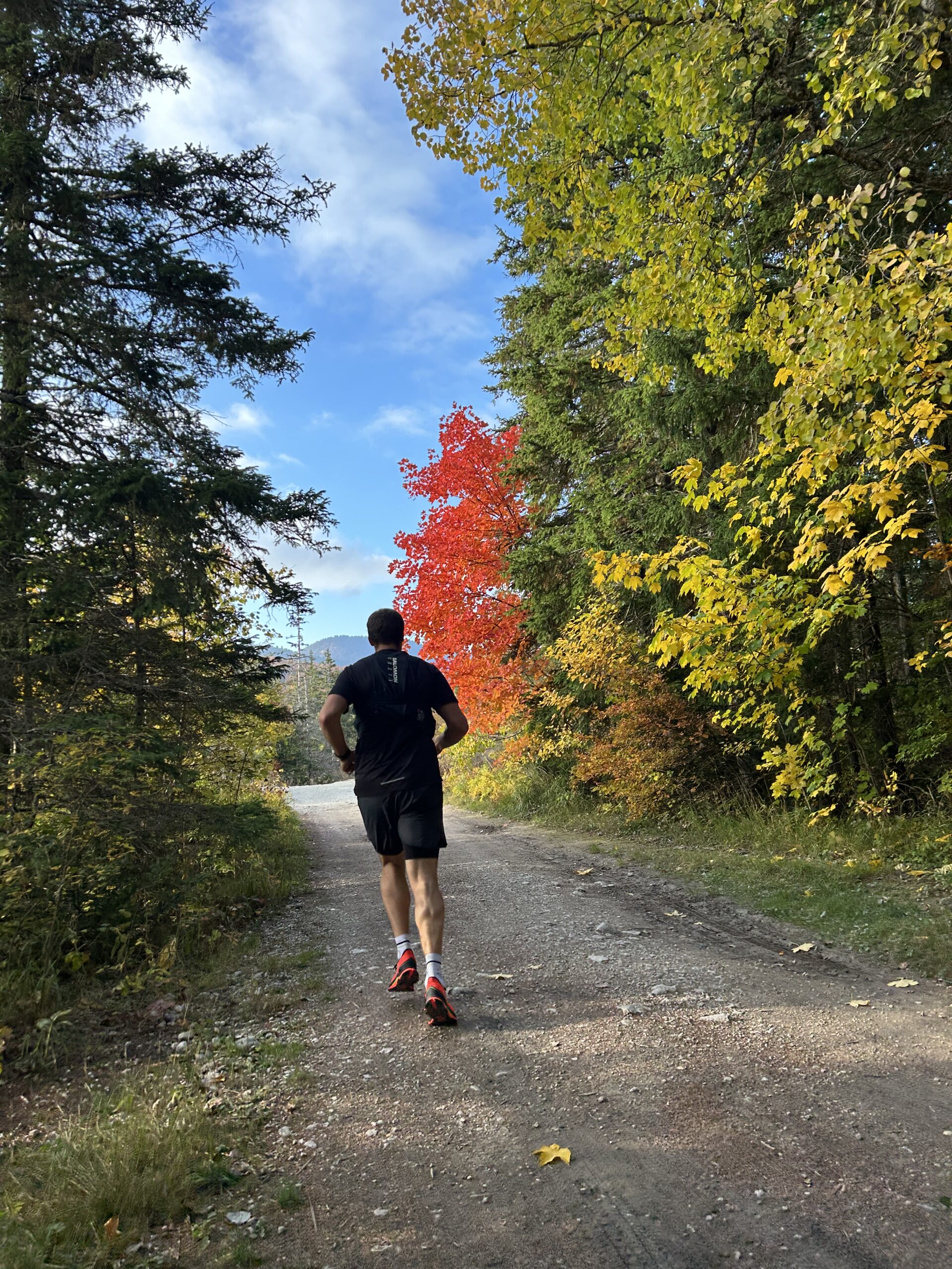 Lire la suite à propos de l’article Seul