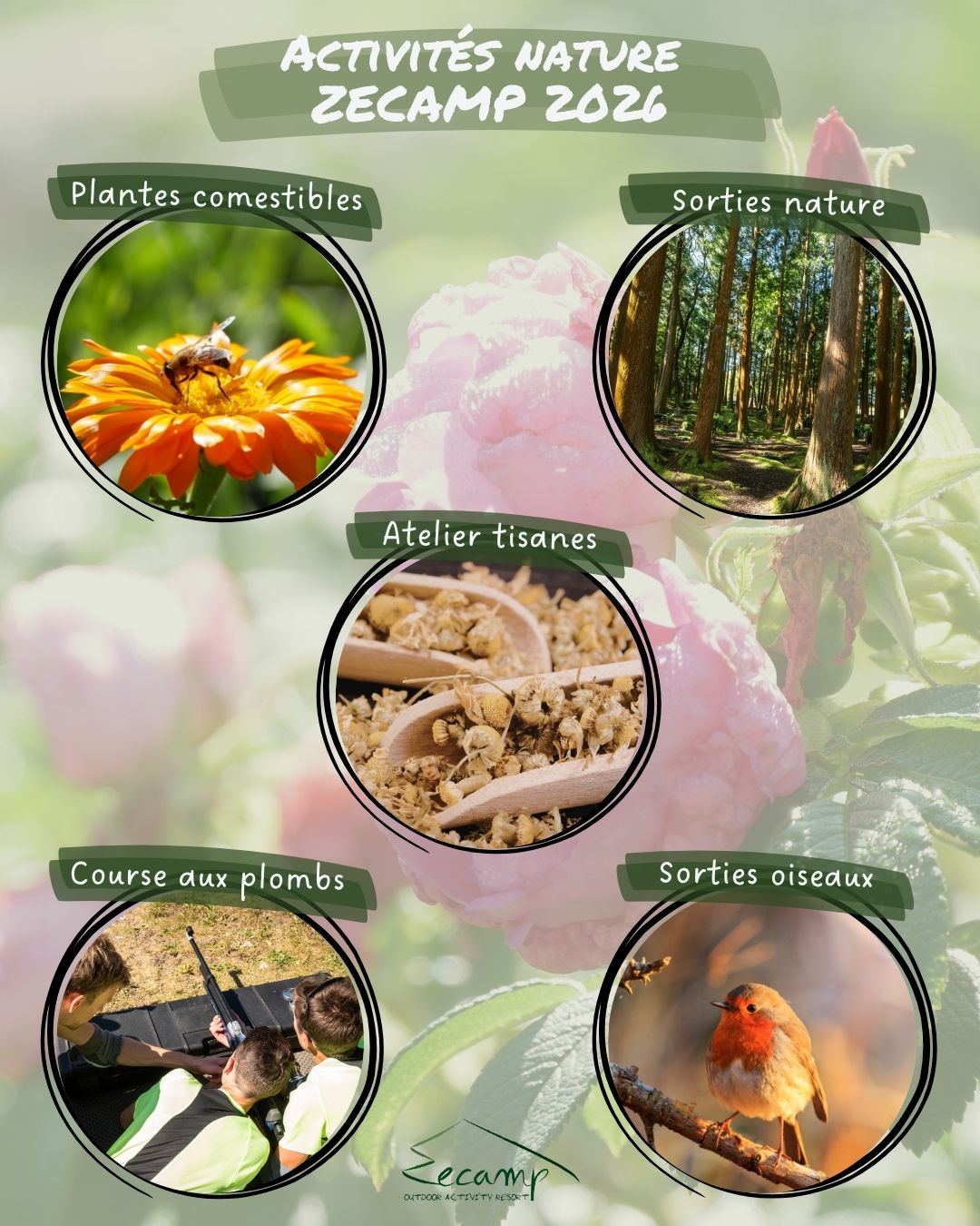 You are currently viewing Les activités estivales 2026